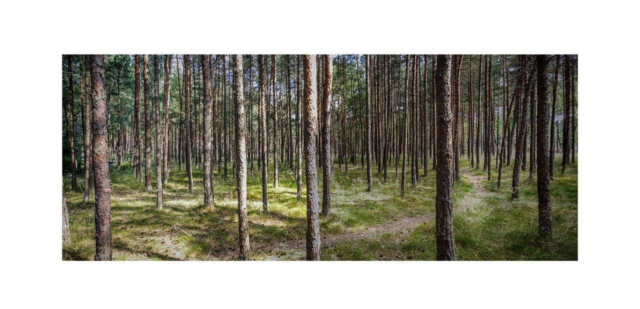 Фото  Forest Cottage Неринга 22